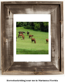 horseback riding near me in Marianna, Florida